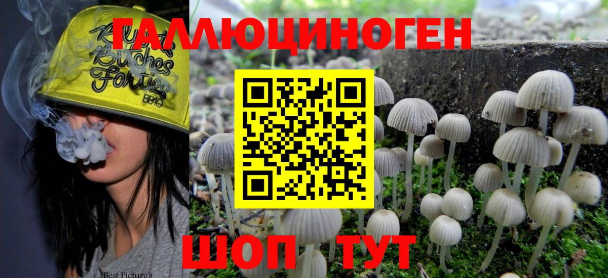 Псилоцибиновые грибы MAGIC MUSHROOMS Клин